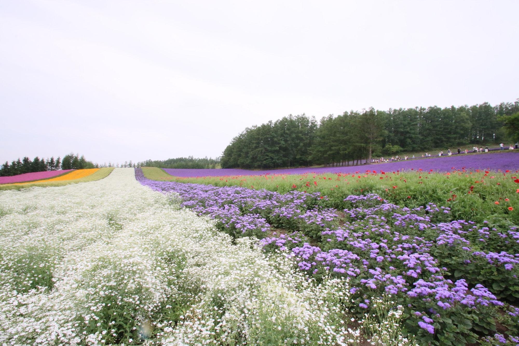 Furano Shiyuirin Hotel Kamifurano Buitenkant foto