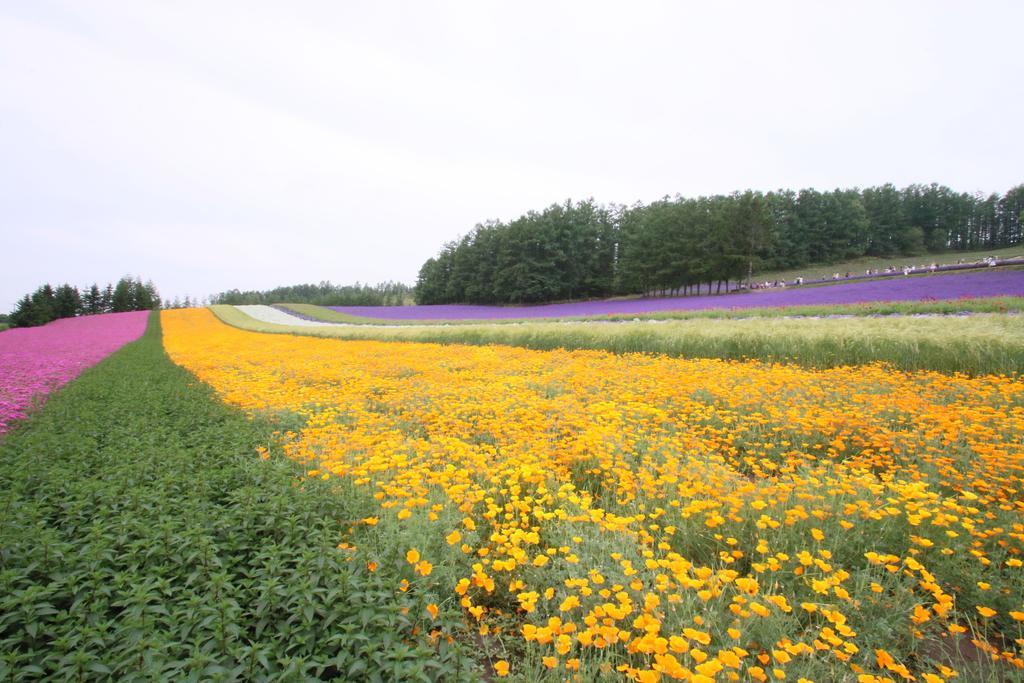 Furano Shiyuirin Hotel Kamifurano Buitenkant foto